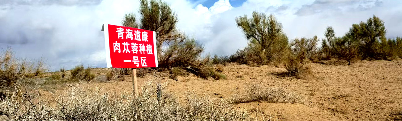 生长环境